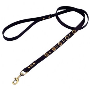 Brown Leather Dog Leash - Small